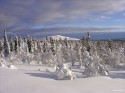 Мурманчане приняли участие в воркшопе на курортах Финляндии